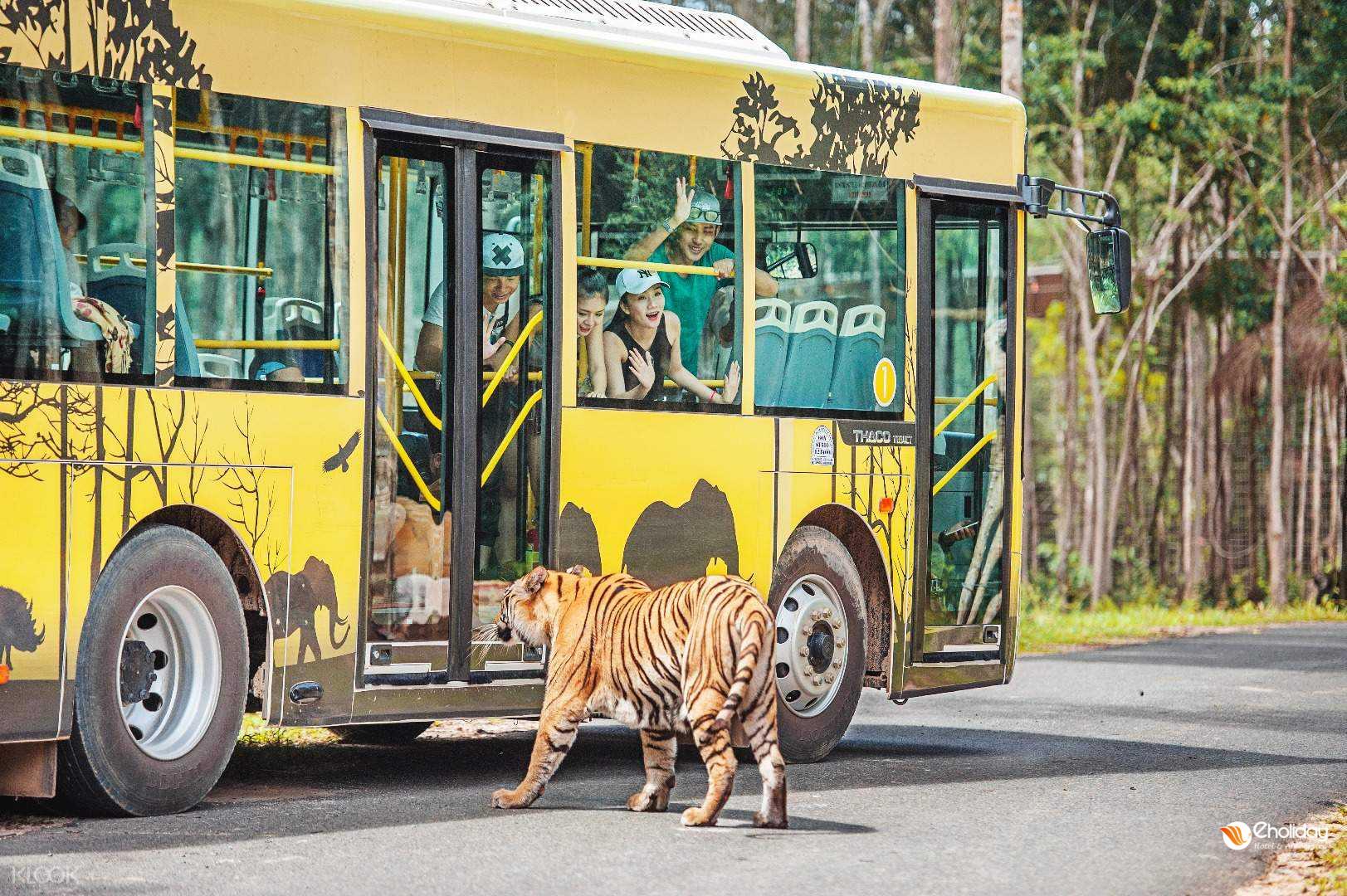 Săn ngay Voucher Vinpearl giá rẻ dịp cuối năm 2022 Vinpearl Safari Phú Quốc
