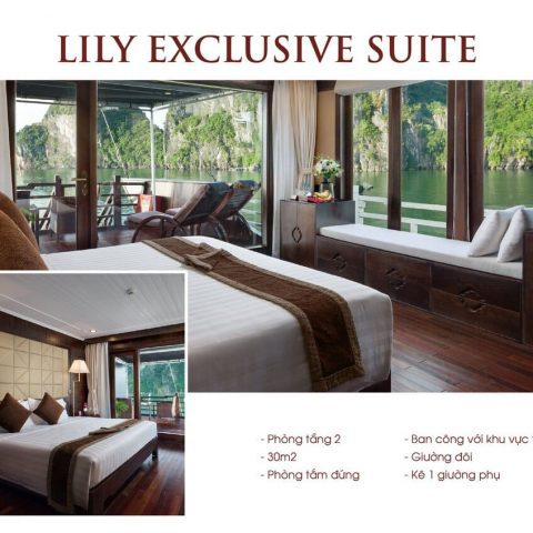Lily Tầng 2 30m2 (5)
