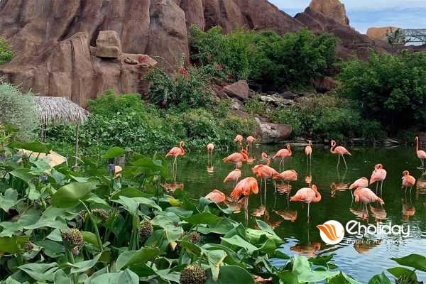 King Garden Vườn Quy Vương Vinwonders Nha Trang