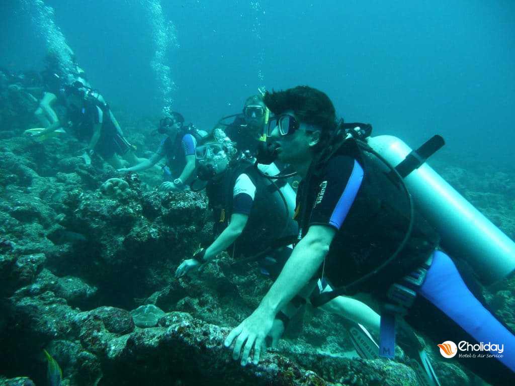 Vietnam Danang Furama Resort Diving Cham Island 1 1