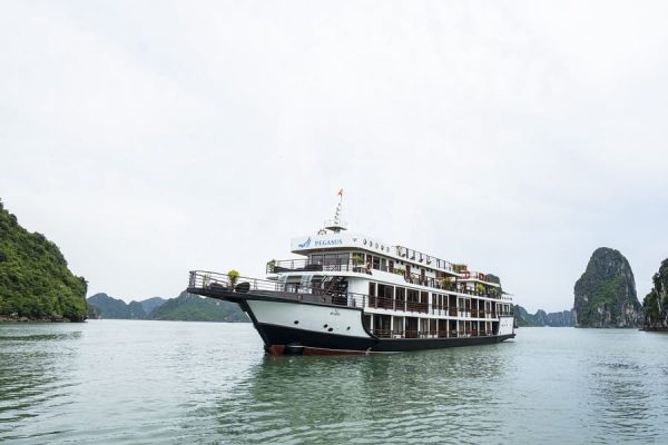 Du Thuyền Pegasus Cruise