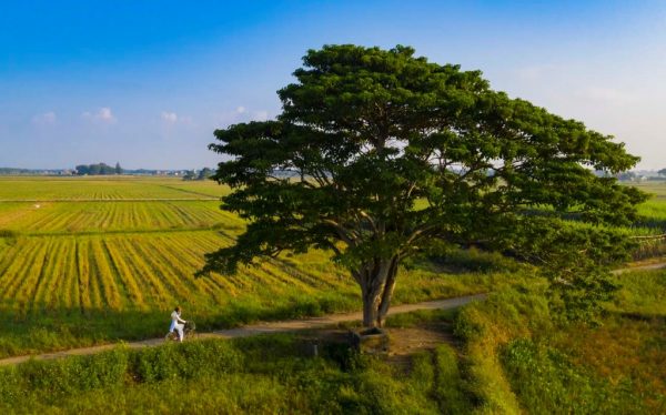 Làng Hà Cảng