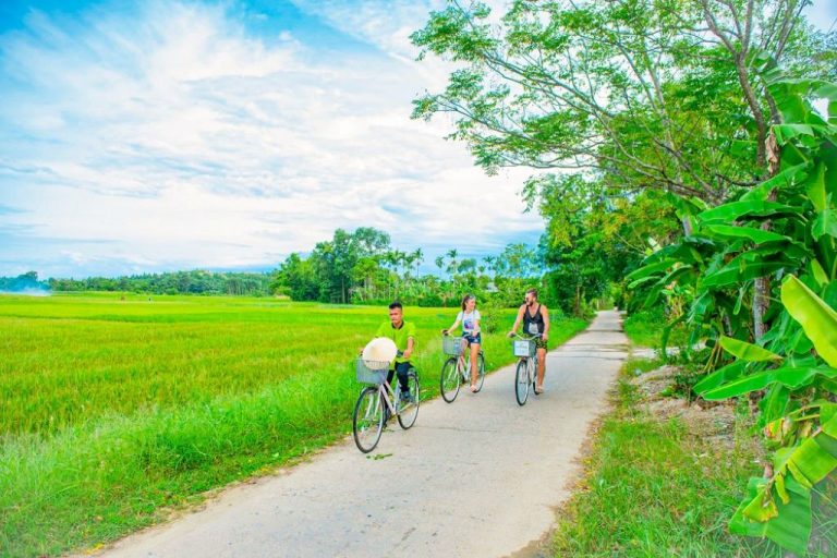 Thủy Biều 2