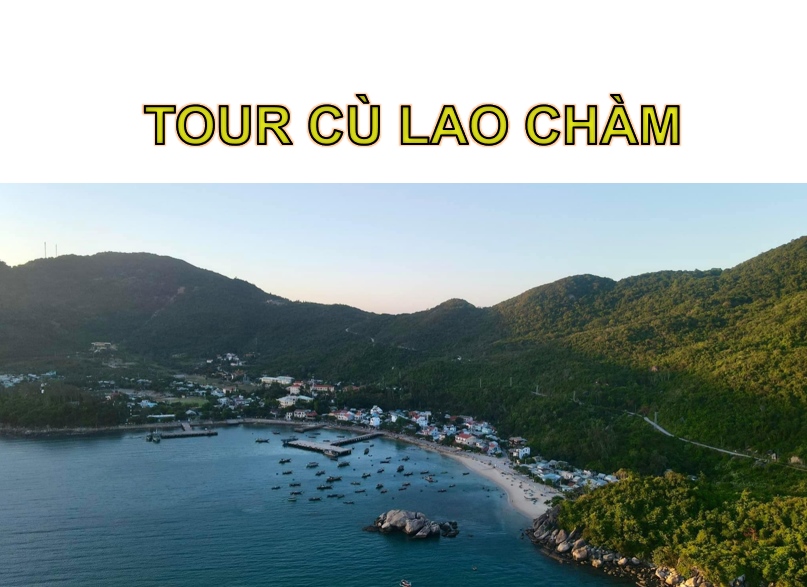 Tour Cù Lao Chàm 1 ngày + Lặn ngắm san hô