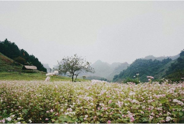 Bản Lóng Luông