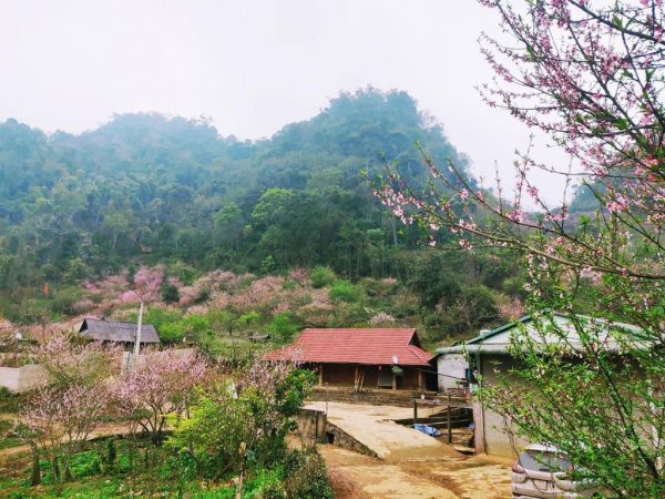 Bản Lóng Luông..