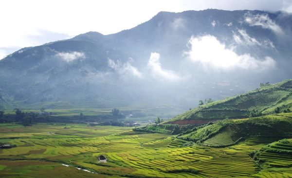 Mù Cang Chải