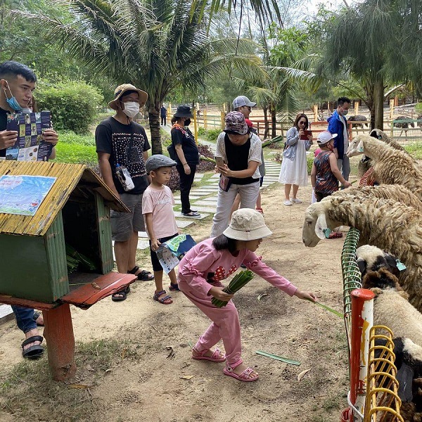 Flc Zoo Safari Park Quy Nhon