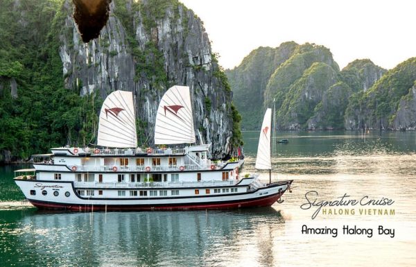 Athena Signature Cruise Ha Long 2