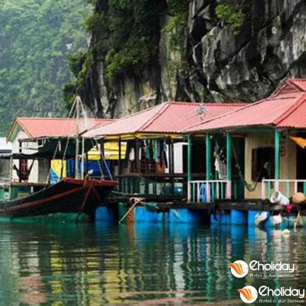 Kinh nghiệm du lịch làng chài Việt Hải 1 tour làng chài việt hải