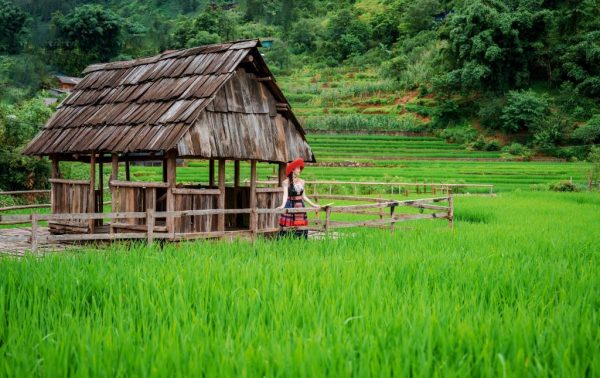 Bản Cát Cát