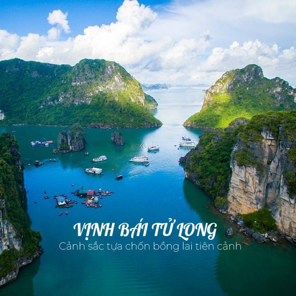 Khám Phá Vịnh Bái Tử Long