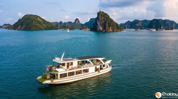 Wonder Bay Cruise Ha Long