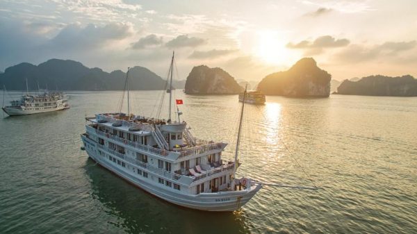 Du Thuyền Paradise Sails Cruise Sunset