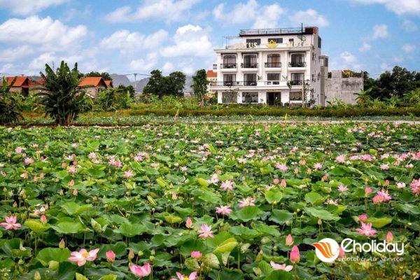 Khách Sạn Lotus Ninh Bình