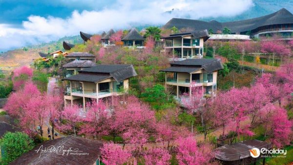 Garrya Mu Cang Chai Resort 4