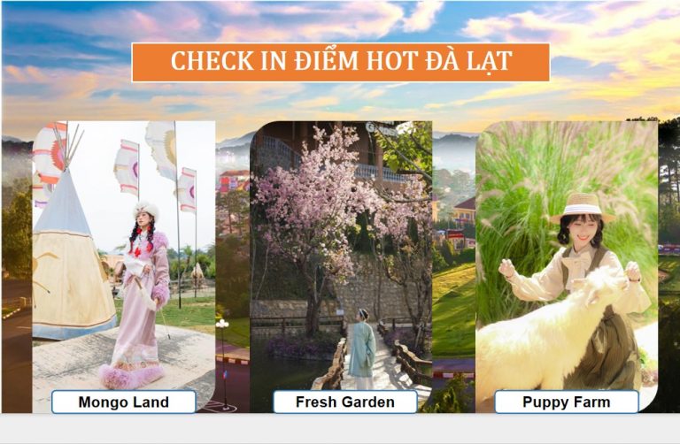 Tour Check In Những điểm Hot Đà Lạt