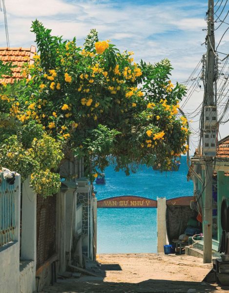 Tour Dao Diep Son Nha Trang 1 Ngay 1 (1)