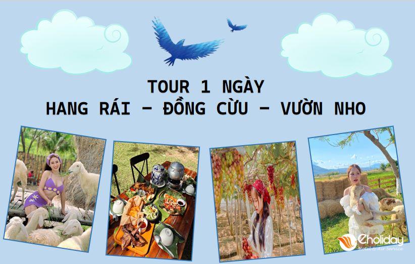 Tour Nha Trang, Ninh Thuận 1 Ngày: Hang Rái, Đồng Cừu, Vườn Nho