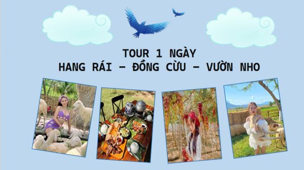 Tour Nha Trang Ninh Thuận Hang Rái đồng Cừu Vườn Nho