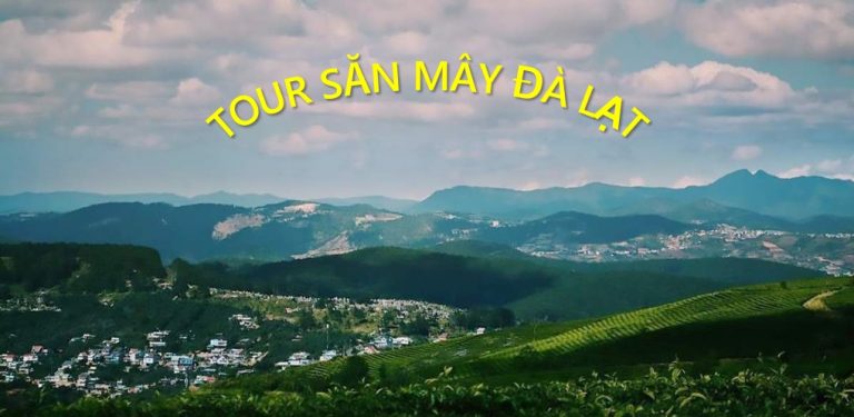 Tour Săn Mây đà Lạt