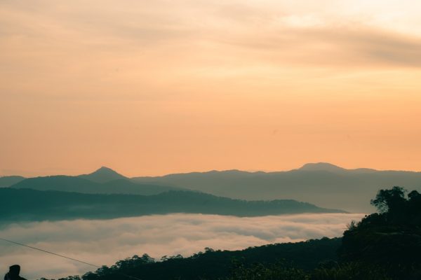 Tour Săn Mây đà Lạt 4