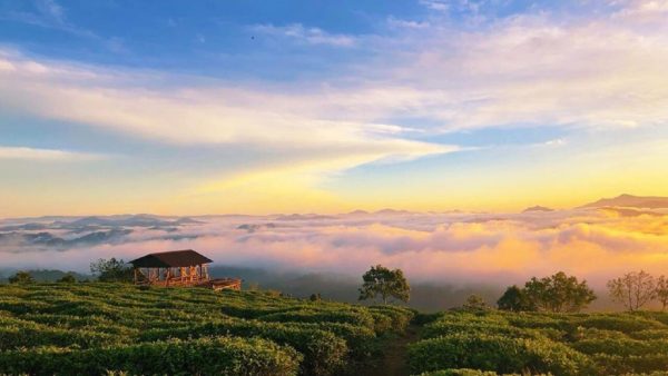 Tour Săn Mây đà Lạt.