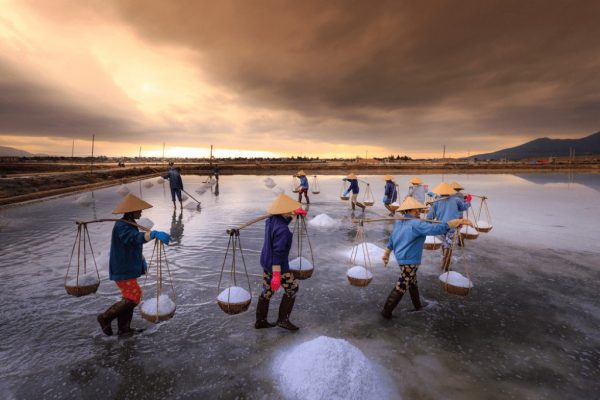 Ruộng Muối Ninh Hải