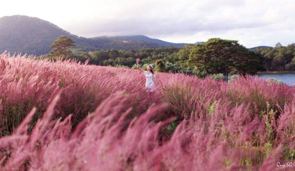 Tour Nha Trang Da Lat 1 Ngay 3