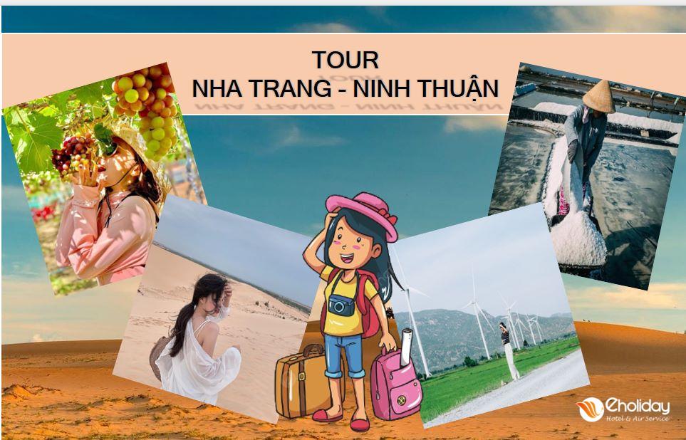 Tour Nha Trang – Ninh Thuận 1 ngày