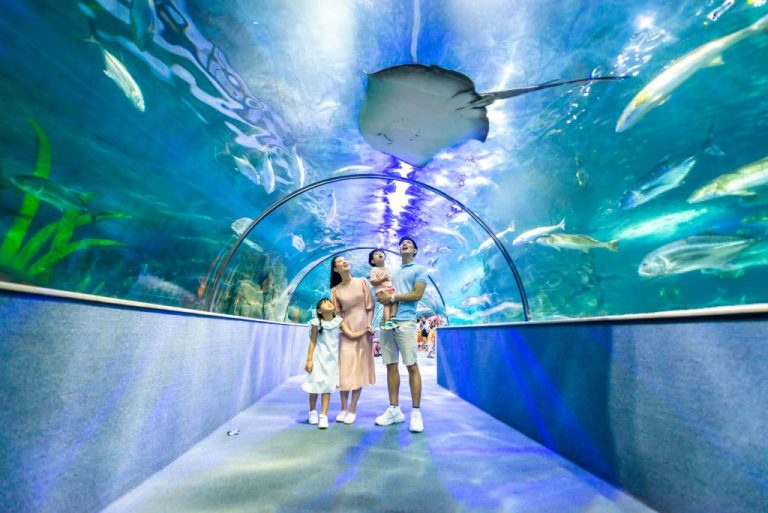 Vé VINKE và Thuỷ cung Aquarium Times City Hà Nội