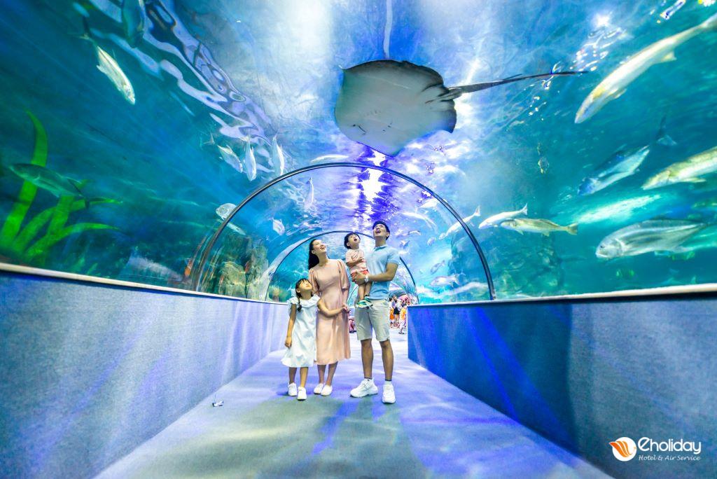 Vé Thuỷ cung Aquarium Times City Hà Nội