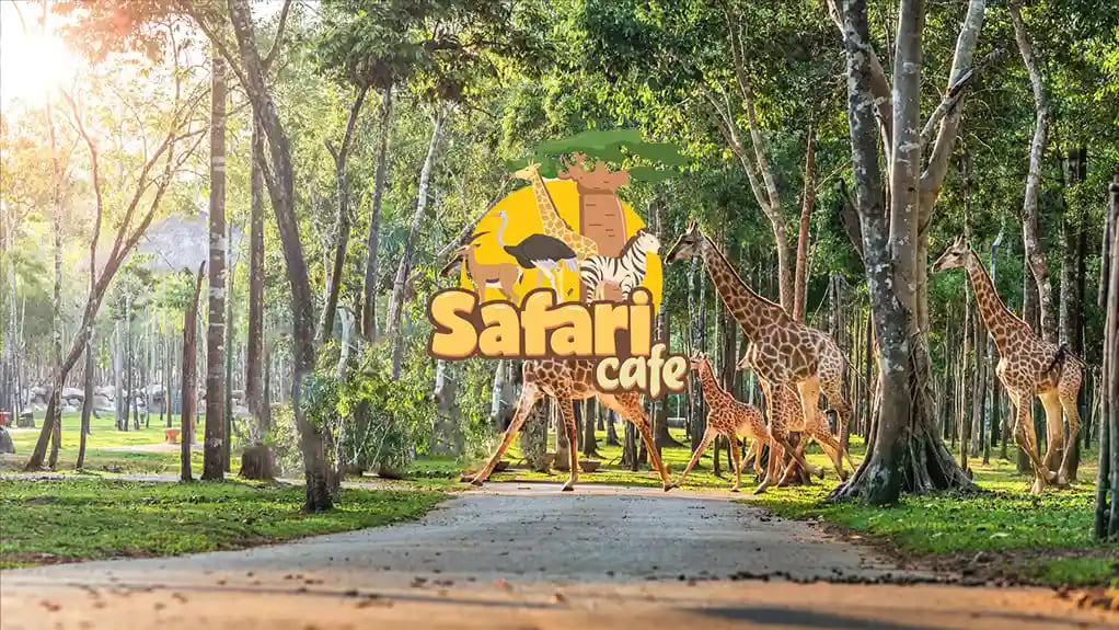 Vé Safari Cafe NovaWorld Phan Thiết - Eholiday.vn