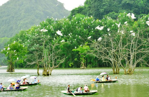 Ve Vuon Chim Thung Nham Ninh Binh