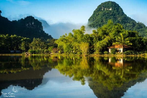 Tam Coc Garden Resort 4