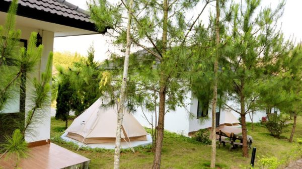 Thảo Nguyên Resort Mộc Châu 1