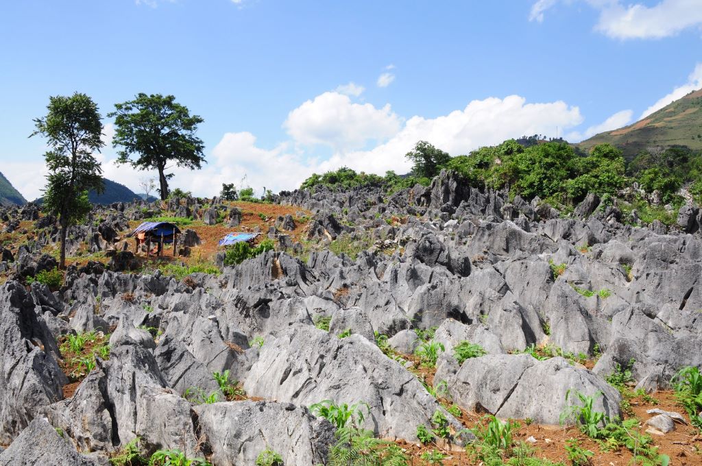 Cao Nguyên đá Tủa Chùa