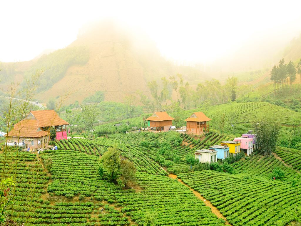 Mộc Châu Arena Village 1