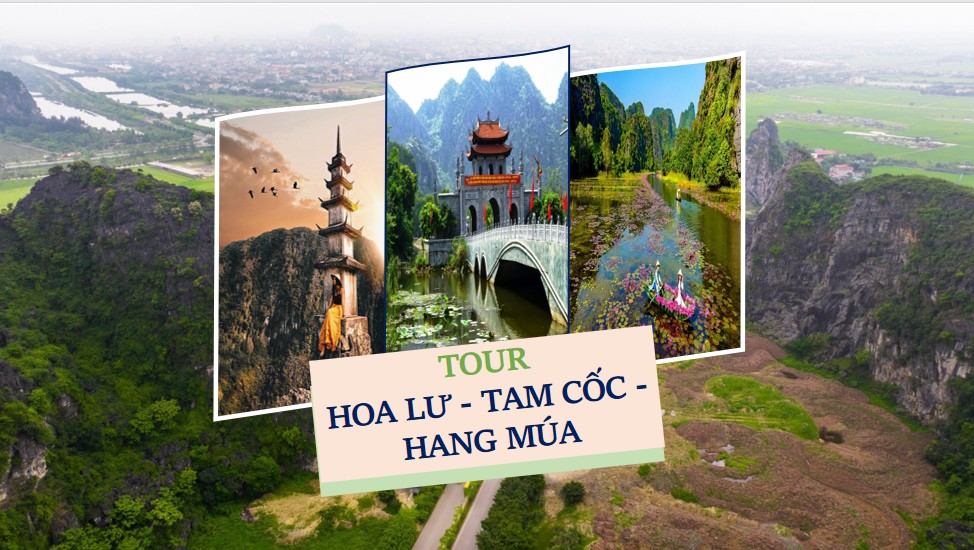 Tour Hoa Lư – Tam Cốc – Hang Múa 1 ngày