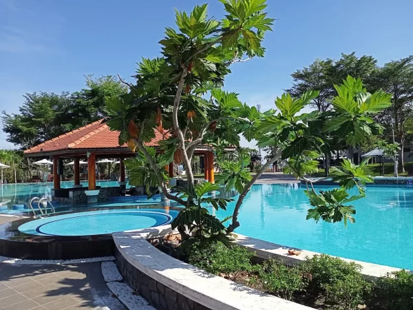 Vé Tắm Bùn Khoáng Tại Mũi Né 2