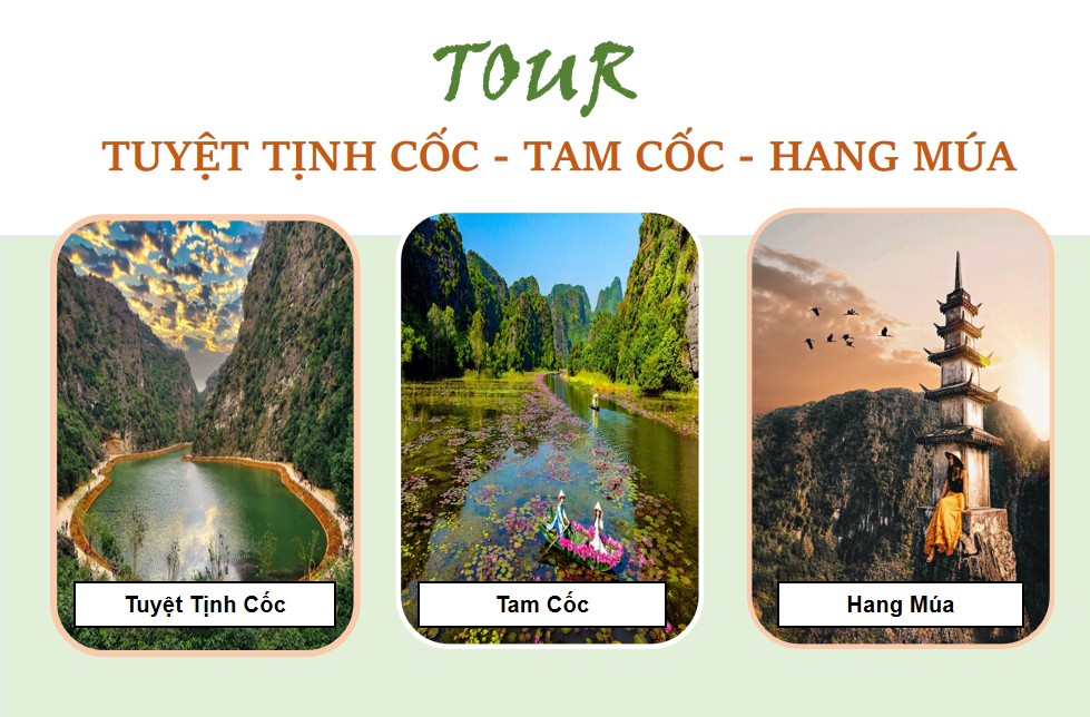 Tour Tuyệt Tịnh Cốc – Tam Cốc – Hang Múa 1 ngày