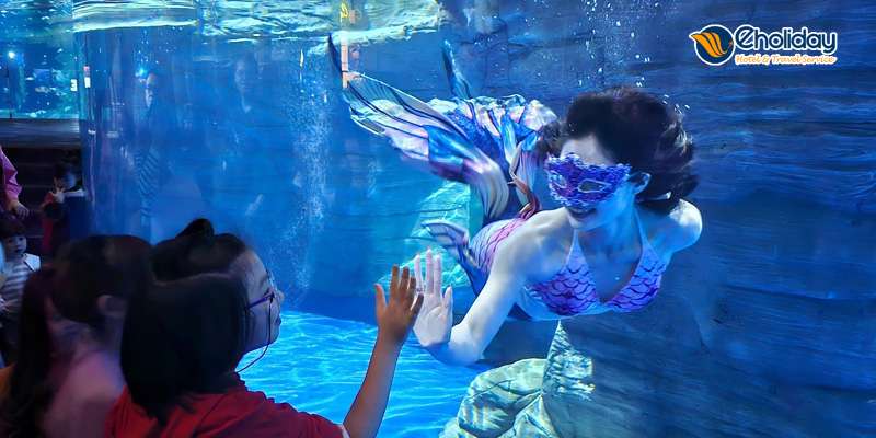 Vé Thuỷ cung Lotte World Aquarium Tây Hồ, Hà Nội