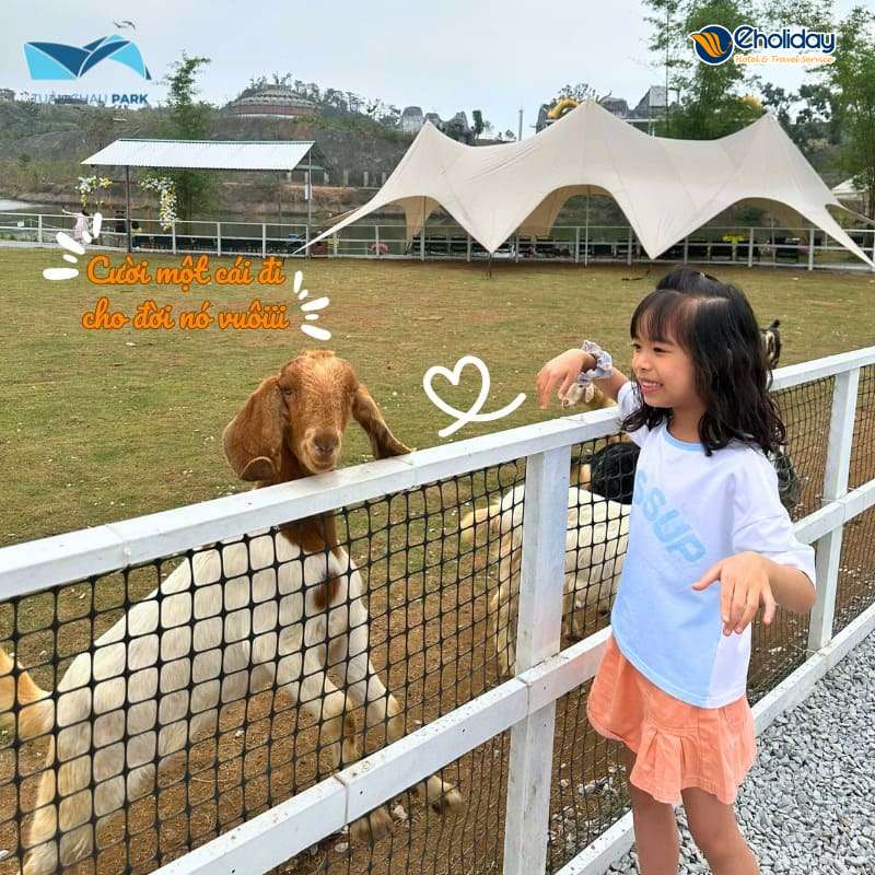 Vé Tuần Châu Farm Hạ Long 10