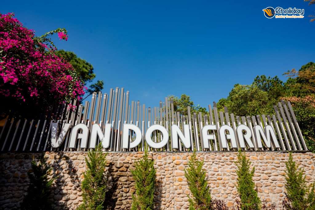 Bái Tử Long Resort