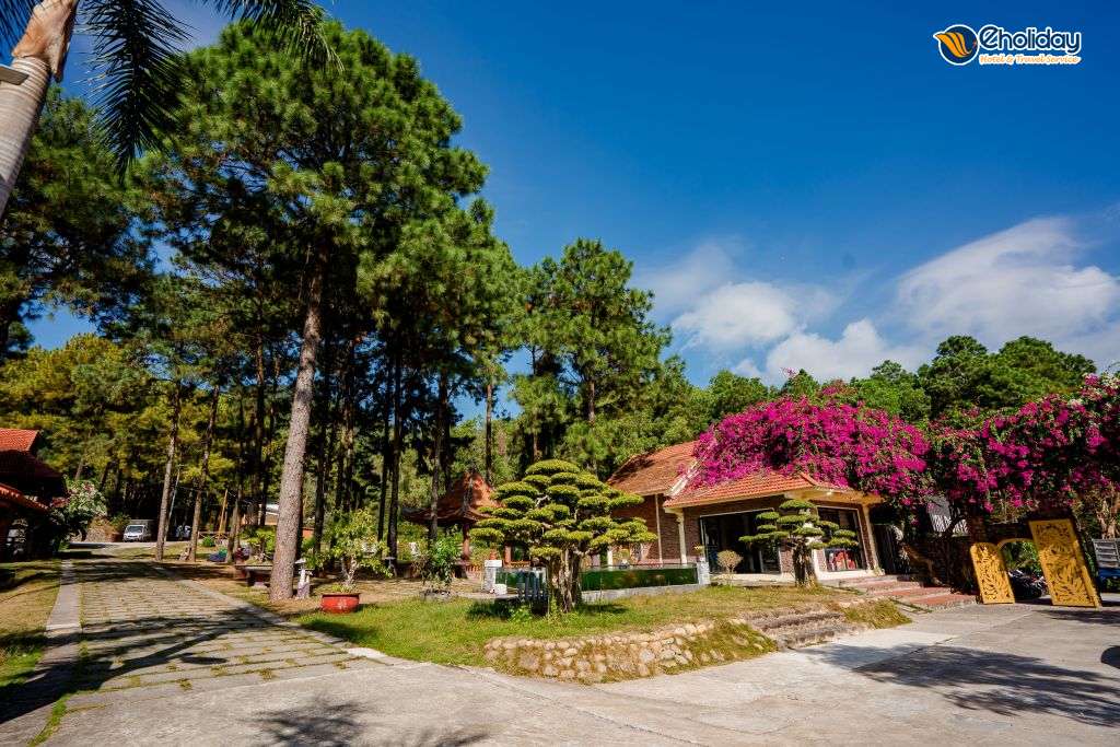 Bái Tử Long Resort 2