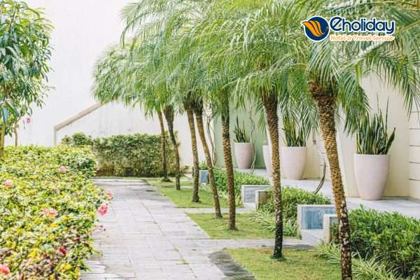 The Victoria Sầm Sơn..