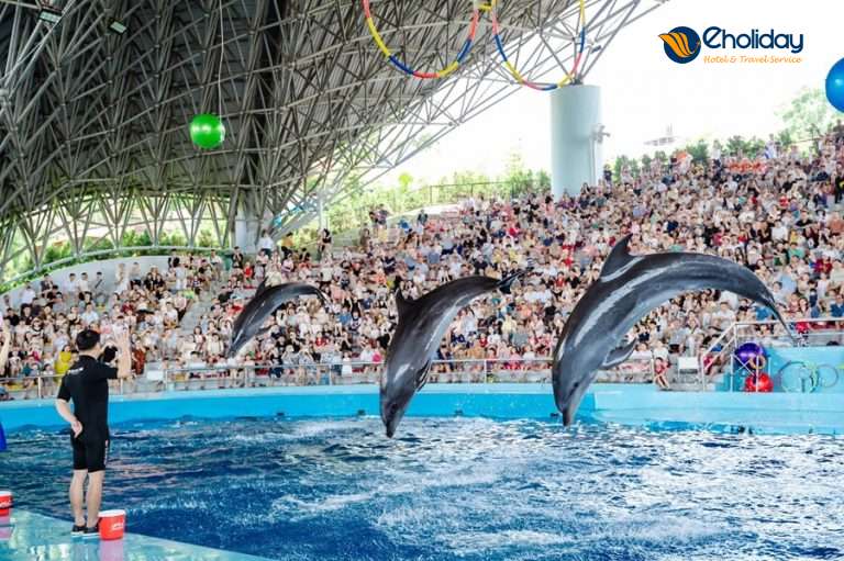 Vé Công viên Tuần Châu Park Hạ Long