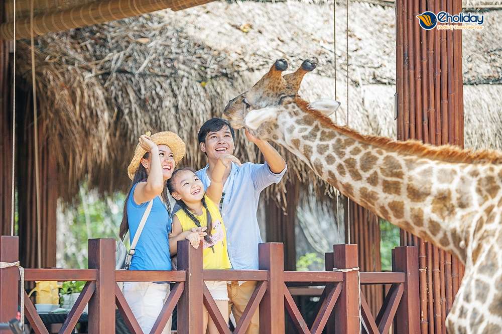 Vinpearl Safari Phú Quốc 3