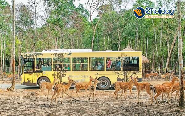 Vinpearl Safari Phú Quốc 4