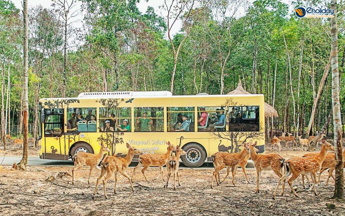 Vinpearl Safari Phú Quốc 4